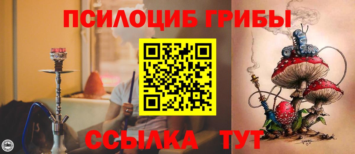 Псилоцибиновые грибы Psilocybe  Псилоцибиновые грибы Cubensis  Кольчугино  Вход с VPN 